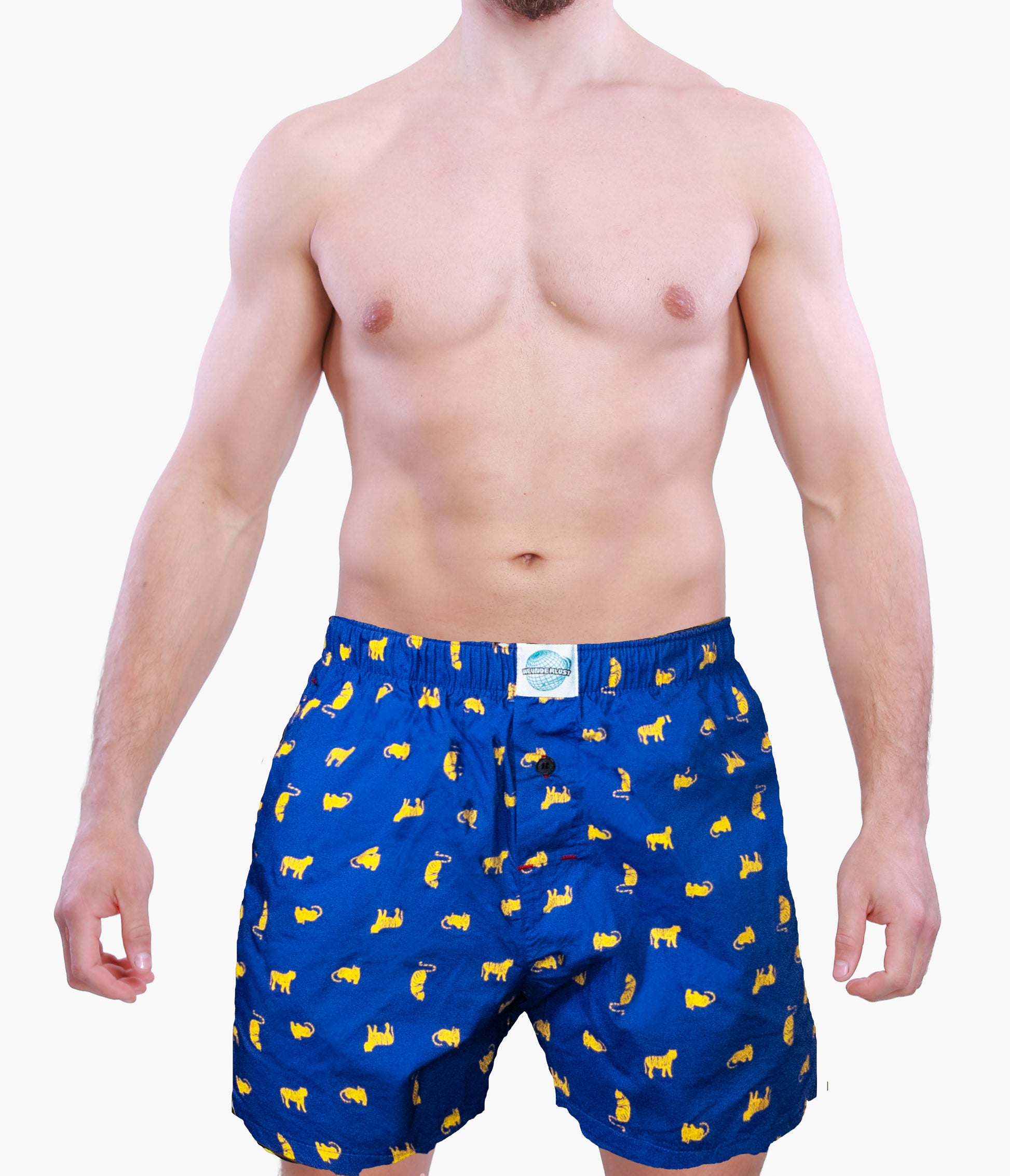 Man wearing blue boxer briefs with yellow cats pattern on a white background