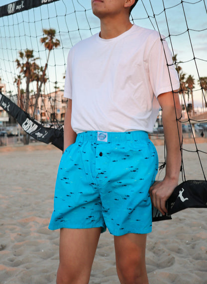 Male Model in Weunderlust Woven Cotton Boxers with pocket, Baby Sharks, light blue, at the beach