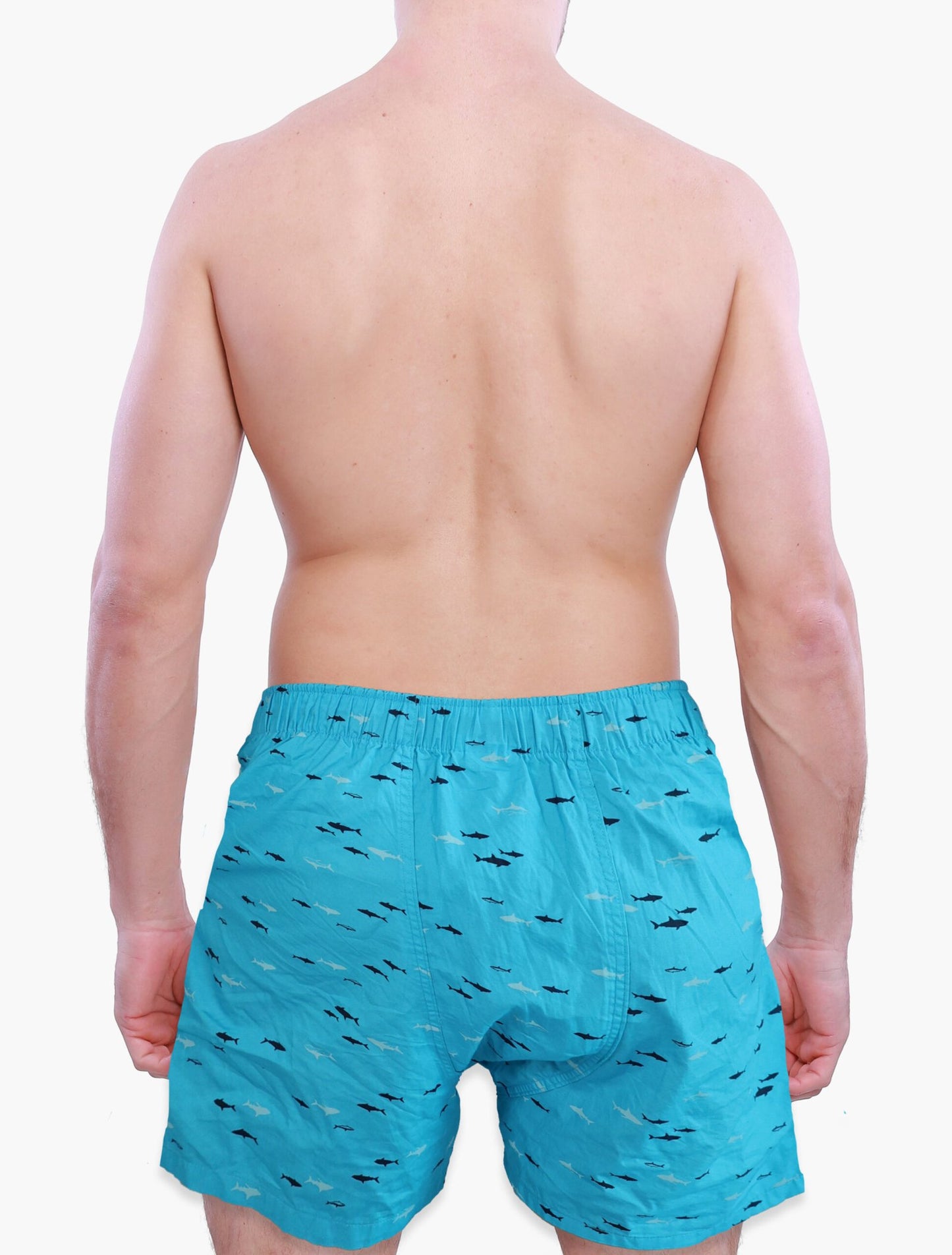 Back side of Male Model in Weunderlust Woven Cotton Boxers with pocket , Baby Sharks, light blue